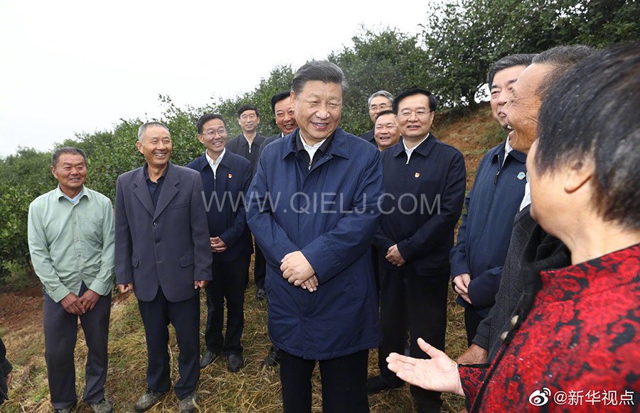 光山油茶籽榨油設備，山茶籽油榨油機廠家(圖2)